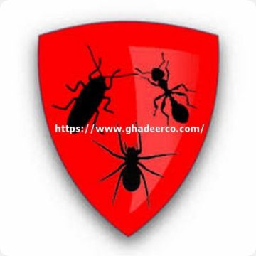 شركة رش البق بالظهران