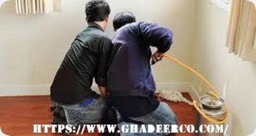 شركة مكافحة حشرات بالقطيف