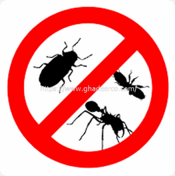 شركة رش مبيدات بعنك