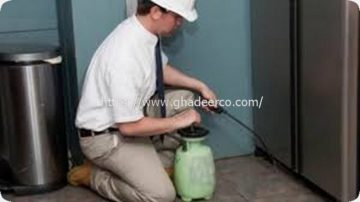 شركة مكافحة حشرات بعنك